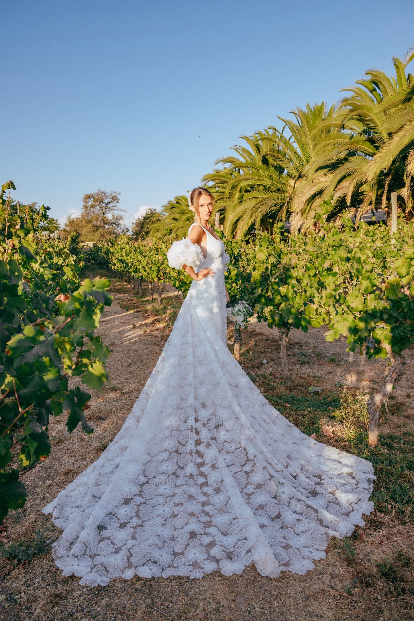 Vestido de Novia 850