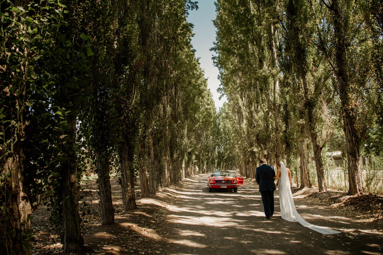 Velo de Novia 297