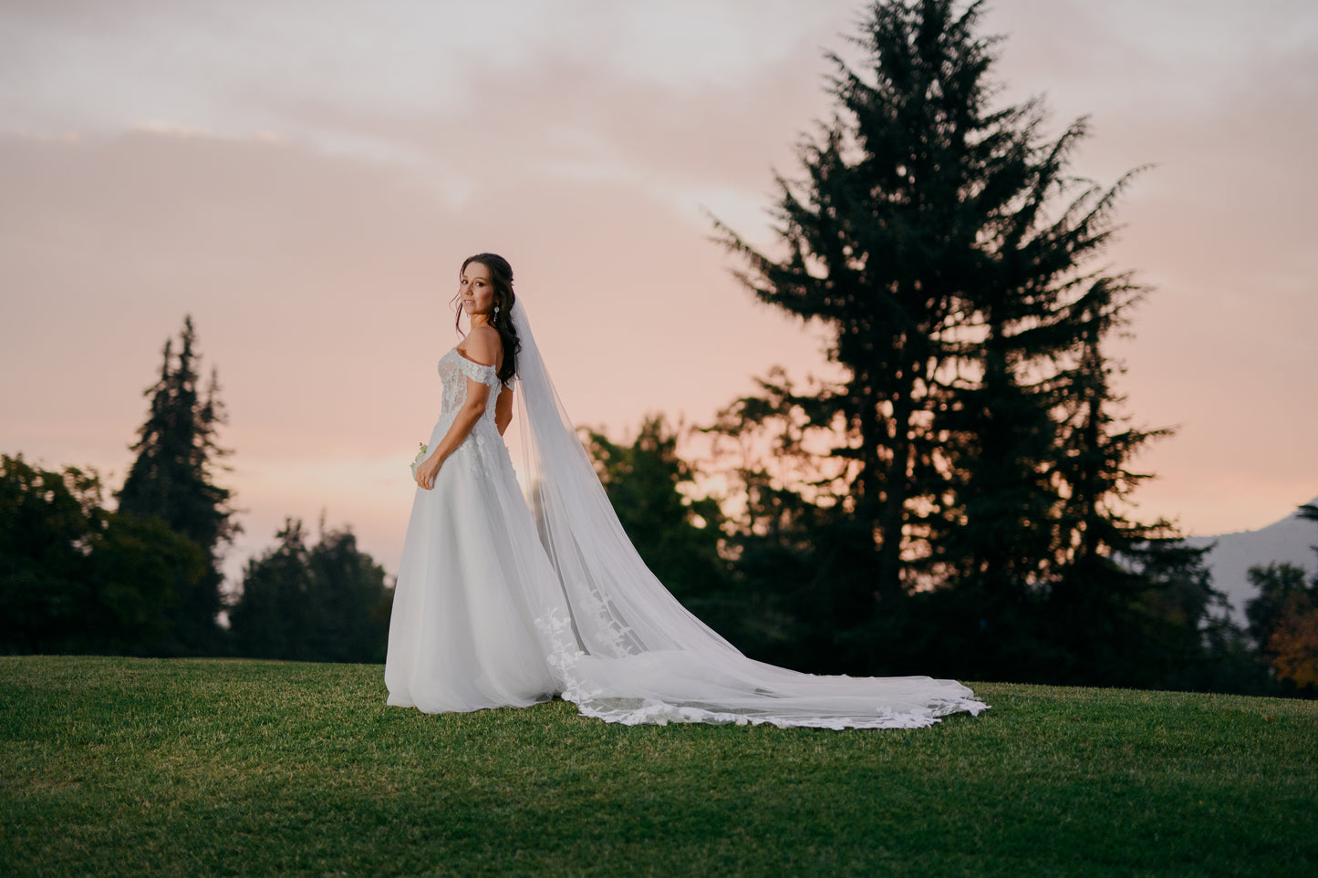 Vestido de Novia 880